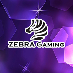ZG捕魚